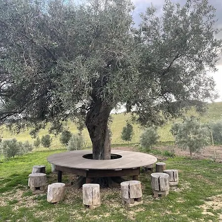 Filaris * Villasimius