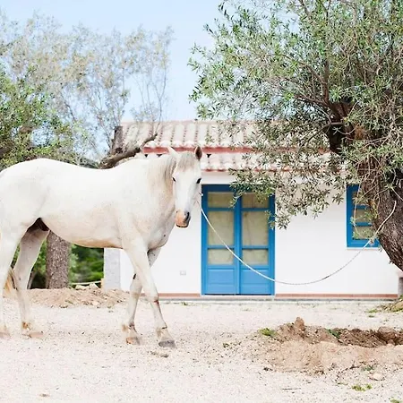 Filaris Villa Villasimius